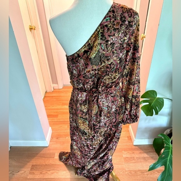 Hemant & Nandita Velvet Burnout Dress - Picture 7 of 10